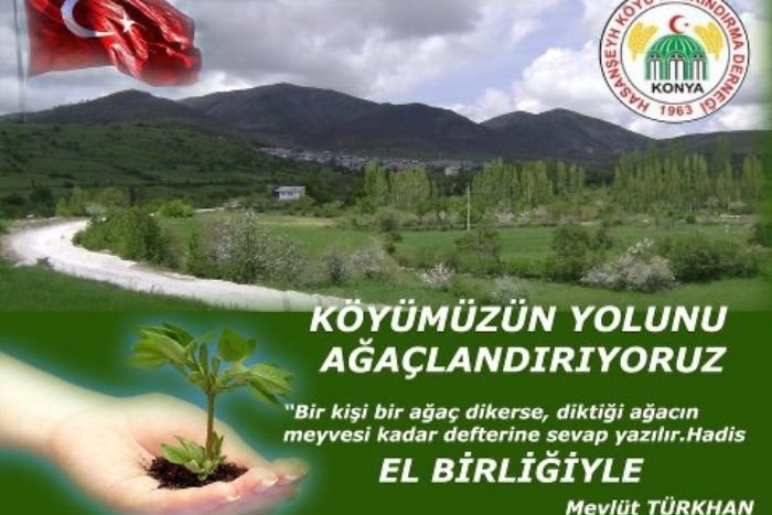 KÖY YOLUNU AĞAÇLANDIRIYORUZ 